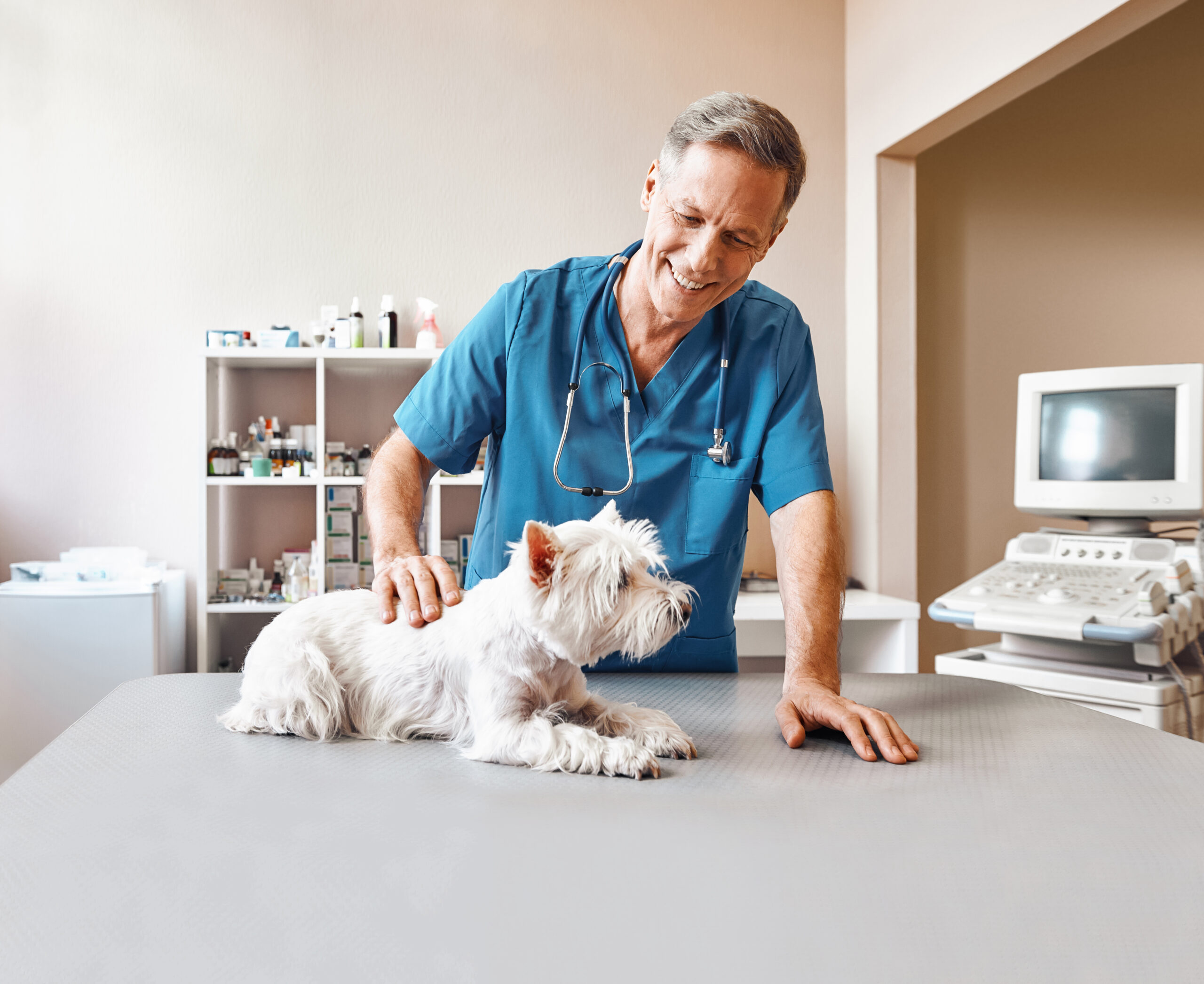 Get an accurate Veterinary Practice valuation in just 2 weeks with MVG's Complimentary FastTrack service.