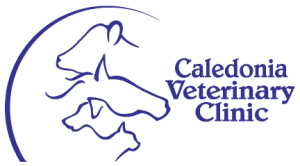 Caledonia-Logo