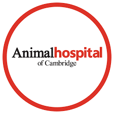 animal-hospital-cambridge-logo